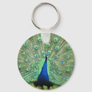 Porte-clés Porte - clé - Fière Peacock