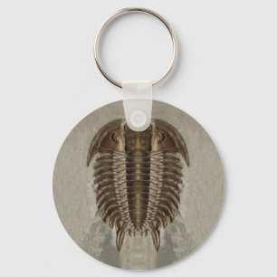 Porte-clés Porte - clé fossile Trilobite