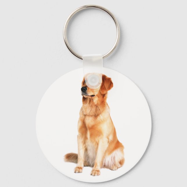 Porte-clés Porte - clé Golden Retriever (Recto)