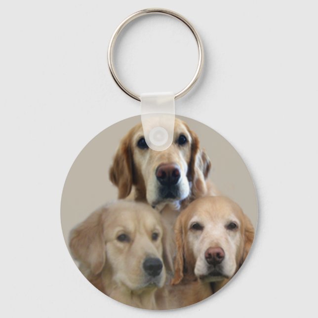 Porte-clés Porte - clé Golden Retriever (Recto)