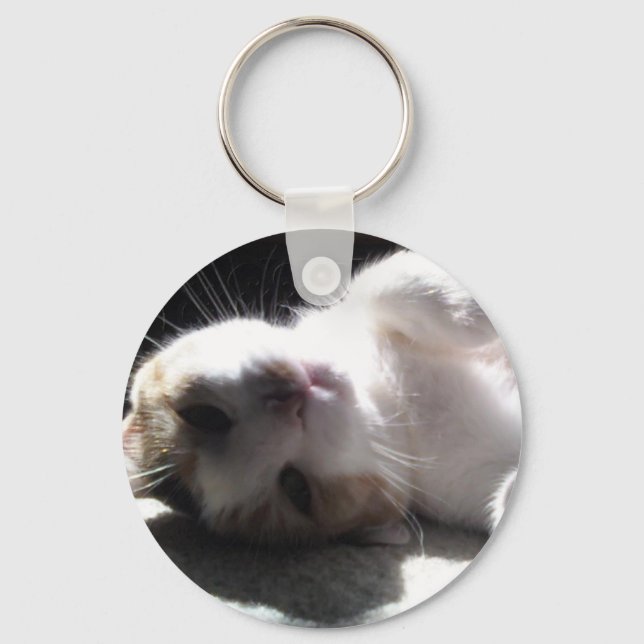 Porte-clés porte - clé kitty ! (Recto)