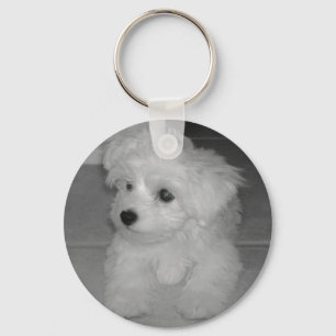 Porte-clés Porte - clé Maltipoo
