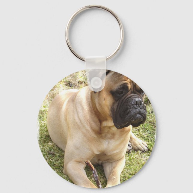 Porte-clés Porte - clé mastiff anglais (Recto)