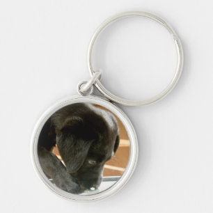 Porte-clés Porte - clé noir de Labrador