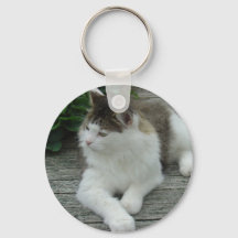 Porte - clé ou clavier - Maine Coon Cat Image 1