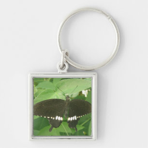 Porte-clés Porte - clé papillon mormon commun