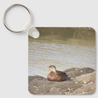 Porte - clé photo Mallard Duck