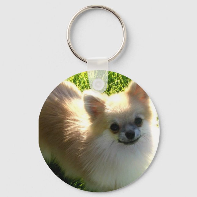 Porte-clés Porte - clé Poméranie (Recto)