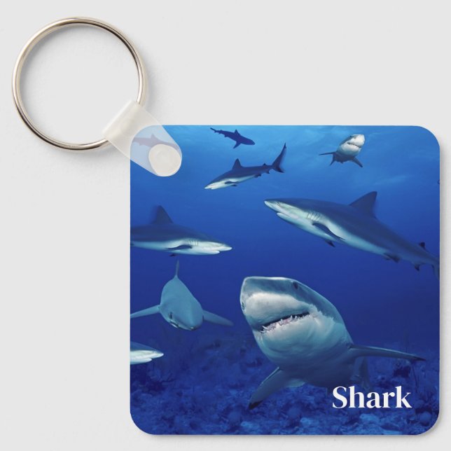 Porte-clés Porte - clé requins (Recto)