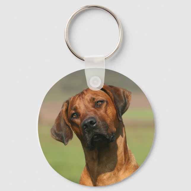Porte-clés Porte - clé Rhodesian Ridgeback (Recto)