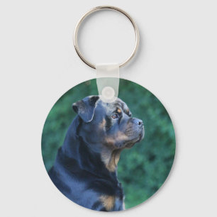 Porte-clés Porte - clé Rottweiler