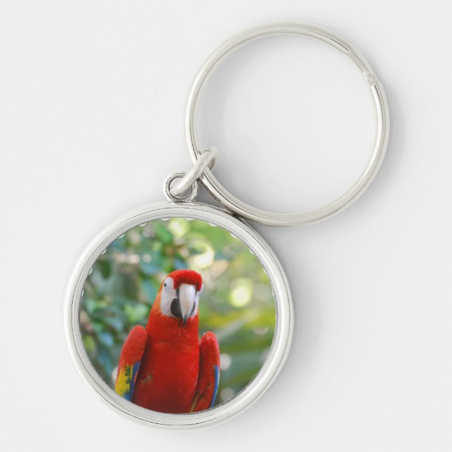 Porte-clés Porte - clé rouge brillant de perroquet (Devant)