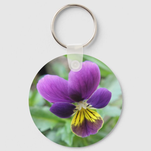 Porte-clés Porte - clé sauvage de Pansy (Recto)