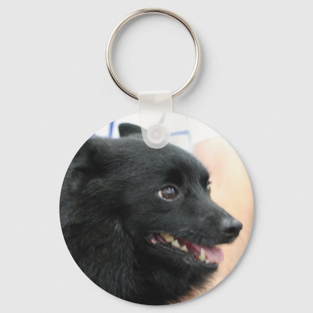 Porte-clés Porte - clé Schipperke (Recto)
