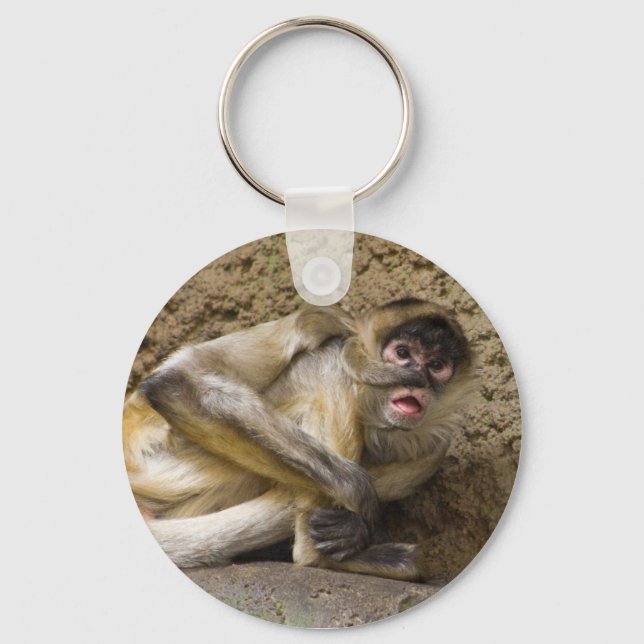 Porte-clés porte - clé singe (Recto)