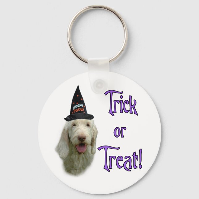 Porte-clés Porte - clé Spinone Trick (Recto)