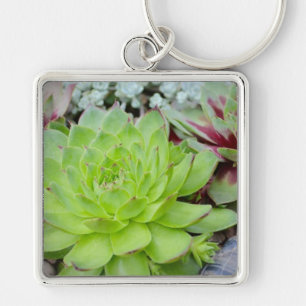 Porte-clés Porte - clé Succulent