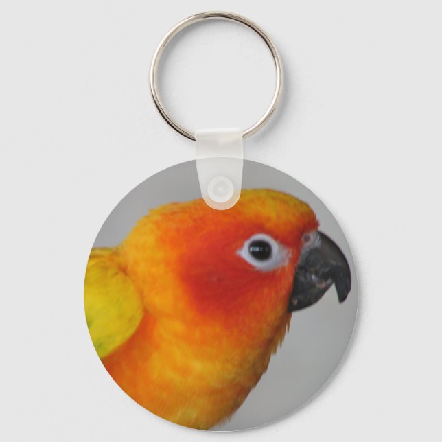 Porte-clés Porte - clé Sun Conure (Recto)