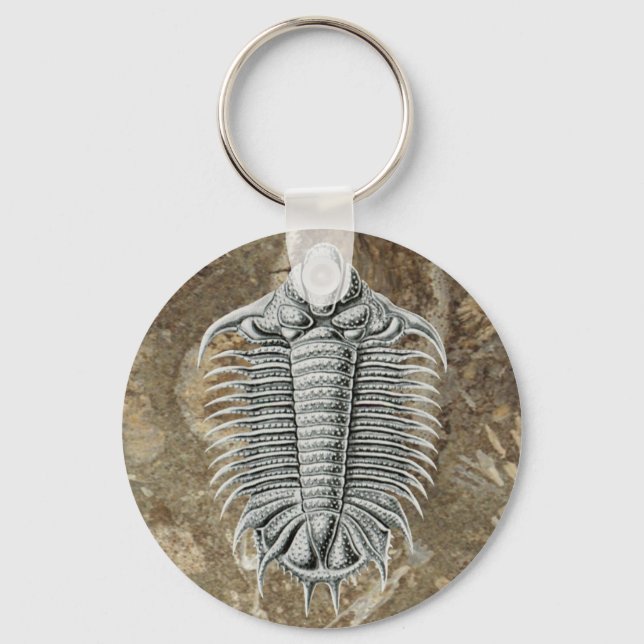 Porte-clés Porte - clé Trilobite (Recto)