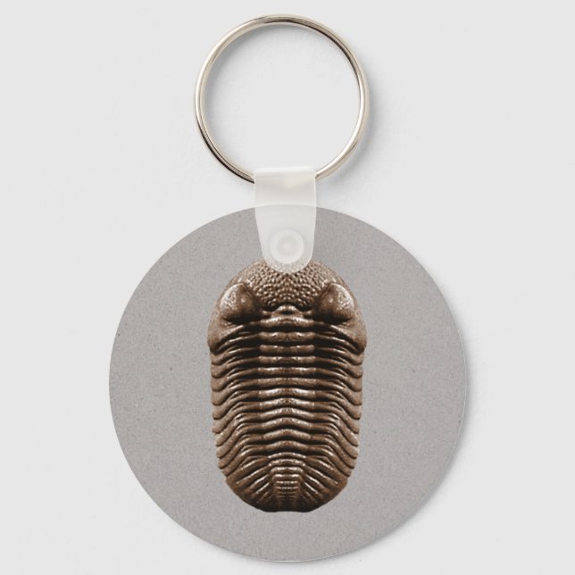 Porte-clés Porte - clé Trilobite (Recto)