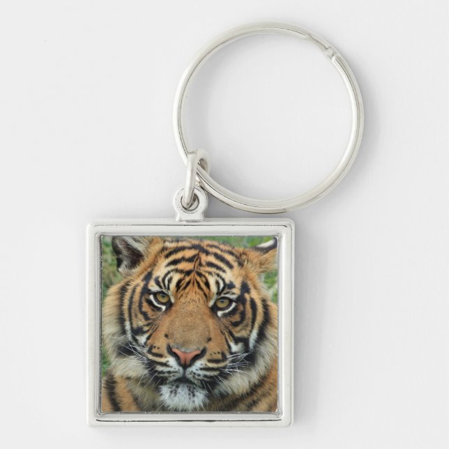 Porte-clés porte clef tigre (Devant)