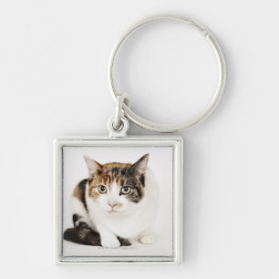 Porte-clés Portrait de chat de calicot