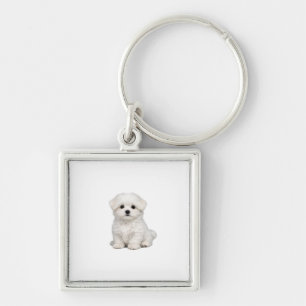 Porte-clés Portrait de chiot maltais blanc et duveteux Amateu