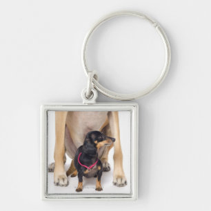 Porte-clés Portrait de great dane et de teckel