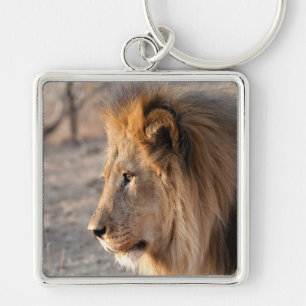 Porte-clés Portrait de Lion