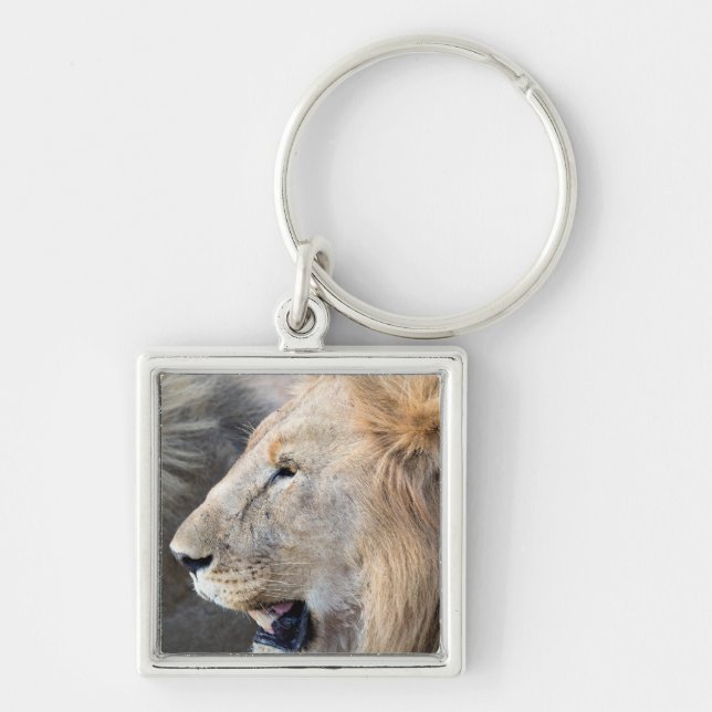 Porte-clés Portrait de Lion (Devant)