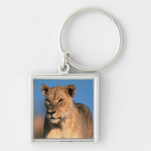 Porte-clés Portrait De Lionne (Panthera Leo)