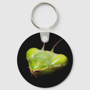 Porte-clés Portrait de mante en prière