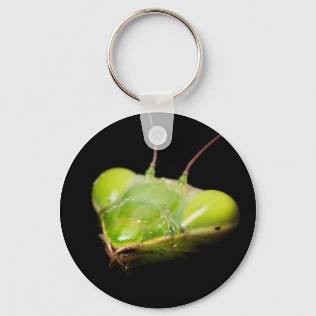 Porte-clés Portrait de mante en prière (Recto)