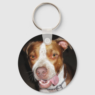 Porte-clés Portrait de Pitbull idiot