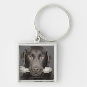 Porte-clés Portrait de studio du transport de Labrador de