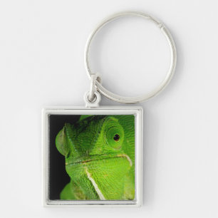 Porte-clés Portrait Du Chameleon À Cou-Volant