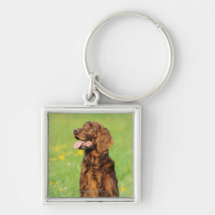 Porte-clés Portrait du chien 2