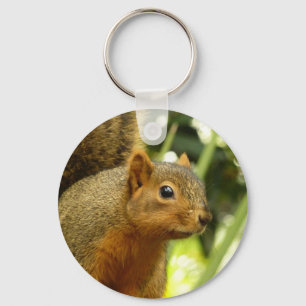 Porte-clés Portrait d'un écureuil Nature Animal Photographie