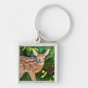 Porte-clés Portrait d'un nouveau-né (cerf de Virginie)