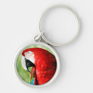 Porte-clés Portrait Macaw