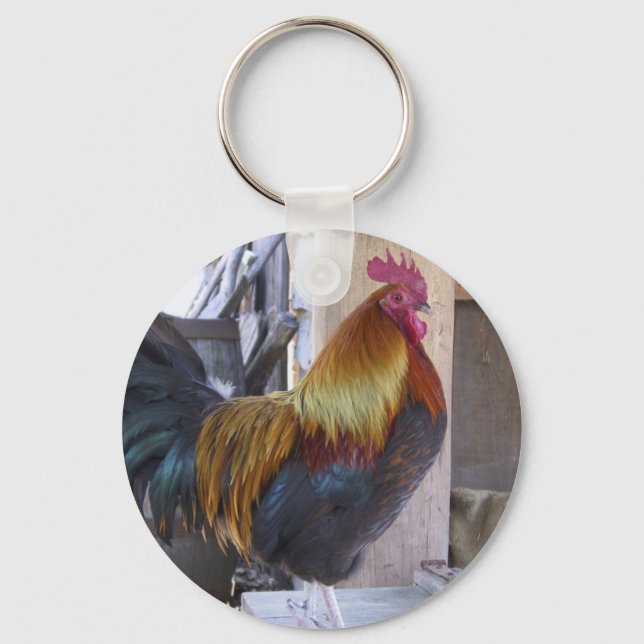 Porte-clés POULET/coq (Recto)