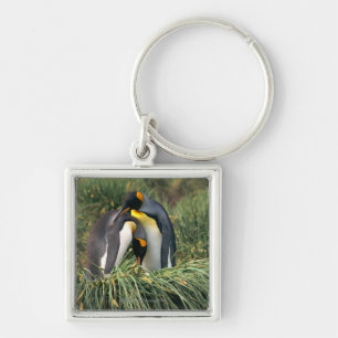 Porte-clés Pousser du nez de pingouins de roi