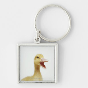 Porte-clés Poussin de canard de Pekin, tête-tir