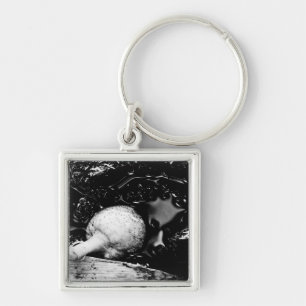 Porte-clés protecteur sombre