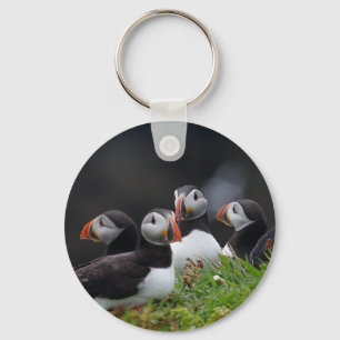 Porte-clés Puffin Gang