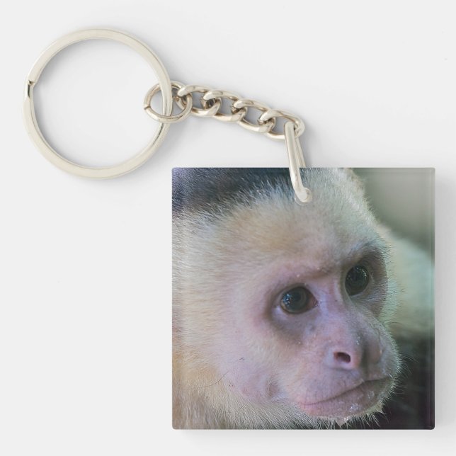 Porte-clés Pura vida pour singe capucin à visage blanc (Devant)
