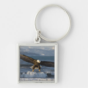 Porte-clés Pygargue à tête blanche, Haliaeetus leucocephalus,