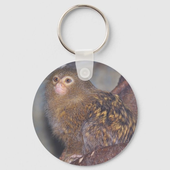 Porte-clés Pygmy Marmoset Portrait (Recto)