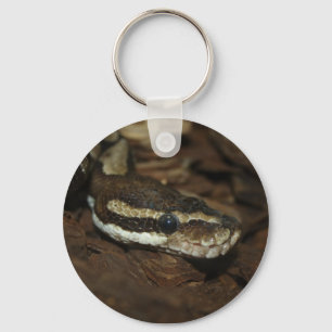 Porte-clés Python Brown