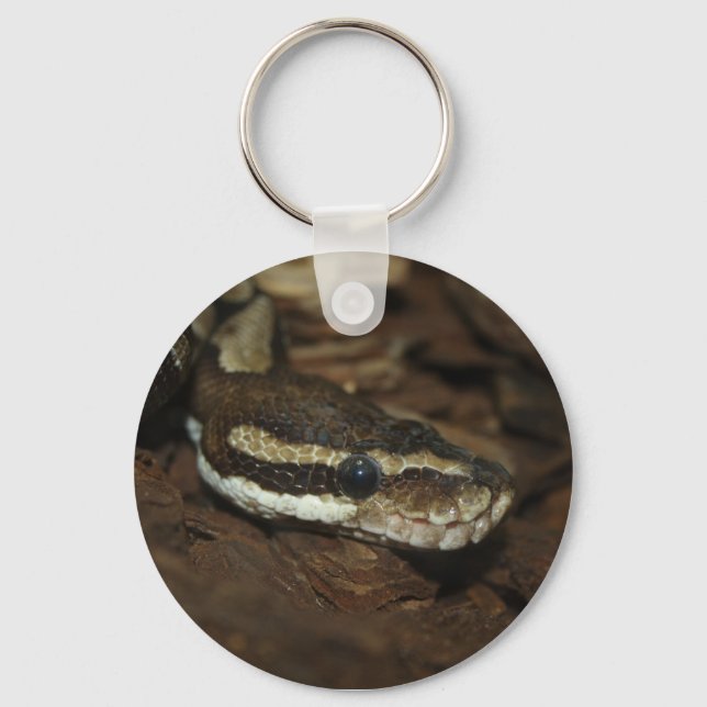 Porte-clés Python Brown (Recto)